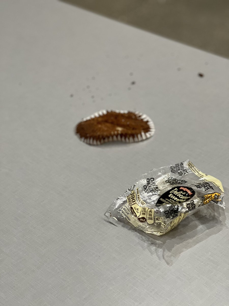 FoodRcs's tweet photo. Please be respectful and clean up after yourself when you are done enjoying breakfast daily. Thank you @RomeoHighSchool https://t.co/nL6EmLQDLo