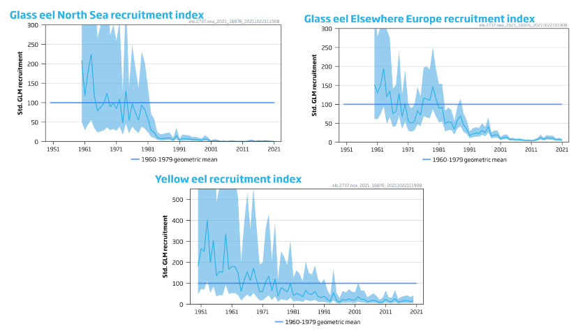 Data from 2021 shows that eel recruitment remains at a very low level. @ICES_ASC advises that when the precautionary approach is applied, there should be zero catches in all habitats in 2022. All other anthropogenic mortalities should be minimized and eliminated where possible.