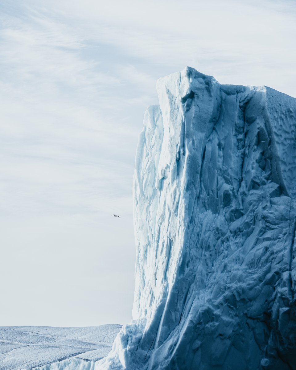 ivareythorsson's tweet photo. Gm everyone!

I had a dream I was in Greenland, no wait... I was actually there! 🇬🇱 https://t.co/TcvJCpao61