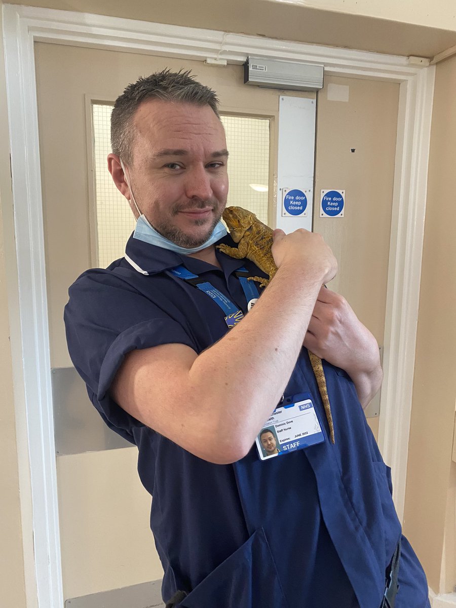 Dominiq53779481's tweet photo. Animal Safari enjoyed by SU and staff! #connectwithnature #animals #insects #letscommunicate #wearejdu #bsl #signlanguage #deaf πͺ±π·π°π¦¨ππ¦π·πΎπ¦ππ’ https://t.co/KQ9ghzKXPA