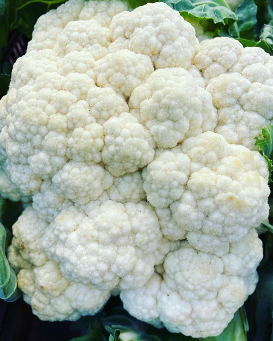 Image from Bethlehem Farmers' Market (@BethFarmMkt)