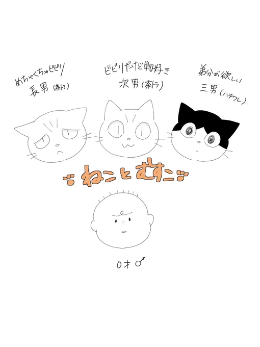 息子(0歳6ヶ月)と、猫3匹を毎日見ていたら見えてきた猫たちの性格の差。
三男のハチワレにはかなり助けられてます…笑
※4枚あります 