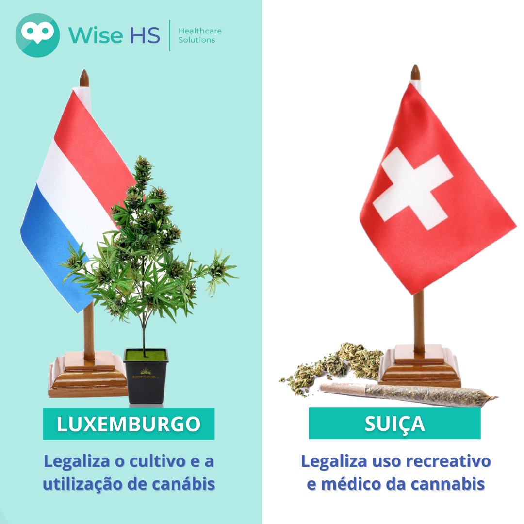 WiseHs's tweet photo. Luxemburgo legaliza o cultivo e a utilização de canábis e Suíça Legaliza uso recreativo e médico da canábis.

Para saber mais acerca deste e outros conteúdos, visite as nossas redes sociais ou contacte-nos através do contacto telefónico 223 174 910 ou do e-mail geral@wisehs.eu https://t.co/QRpAE2qFpg