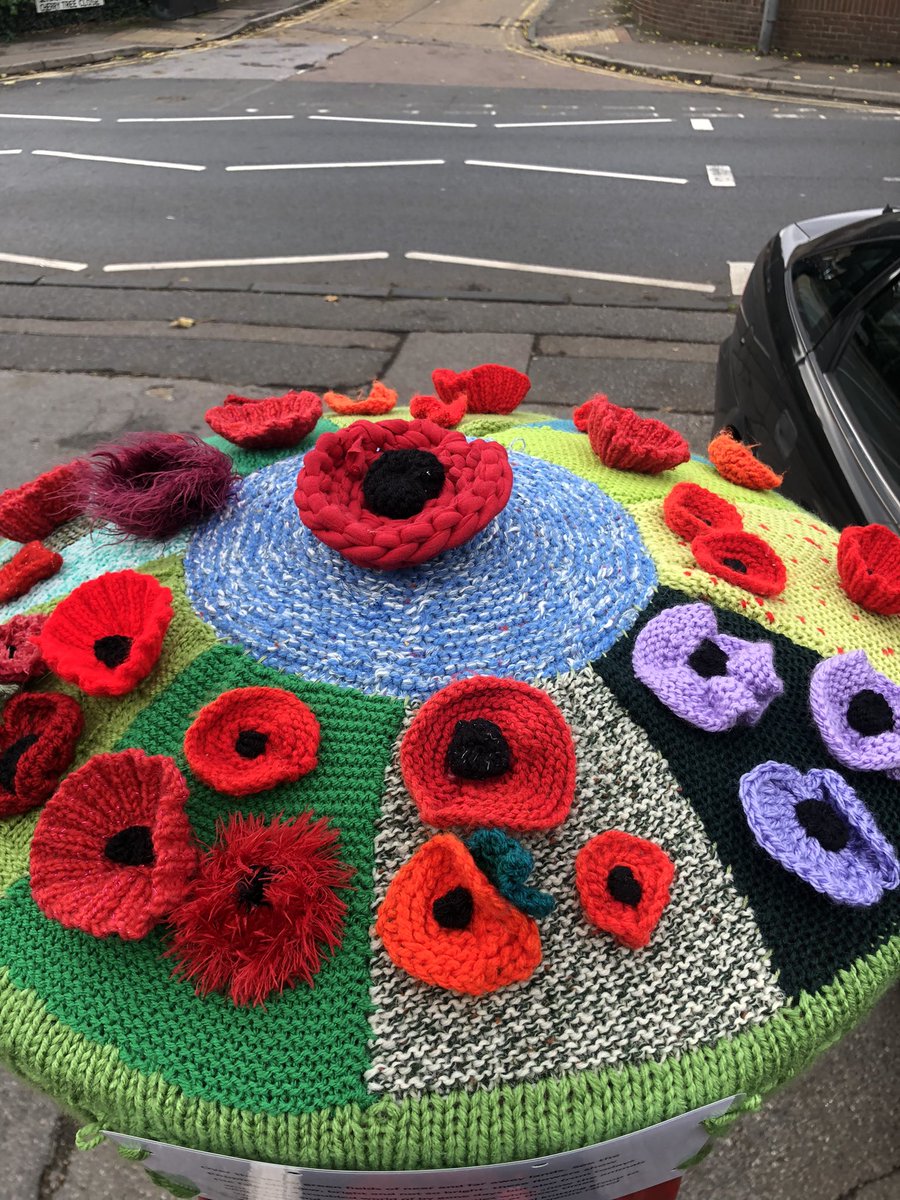 ThurrockPost's tweet photo. A big thank you to Susan for knitting the letterbox cover for Remembrance Day. #RemembranceDay https://t.co/mTWRWw3TPt