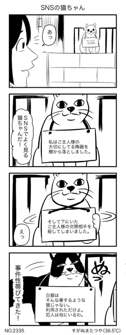 SNSの猫ちゃん 