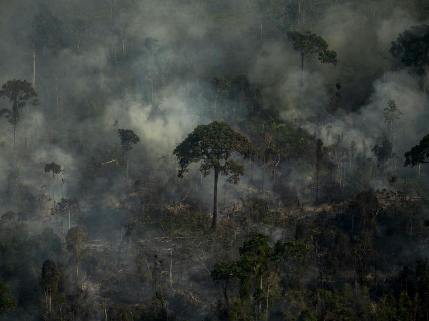 Zehub's tweet image. #Amazonie : la #catastrophe #planétaire approche à grands pas sciencesetavenir.fr/nature-environ…