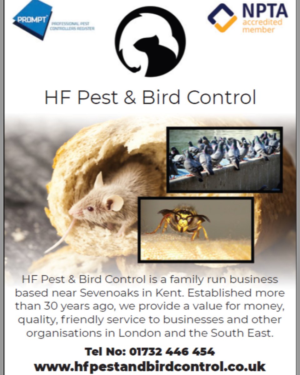 PestHf's tweet photo. #pestcontrol #birdcontrol #proofing #netting #wasps https://t.co/2r6puLVgG5