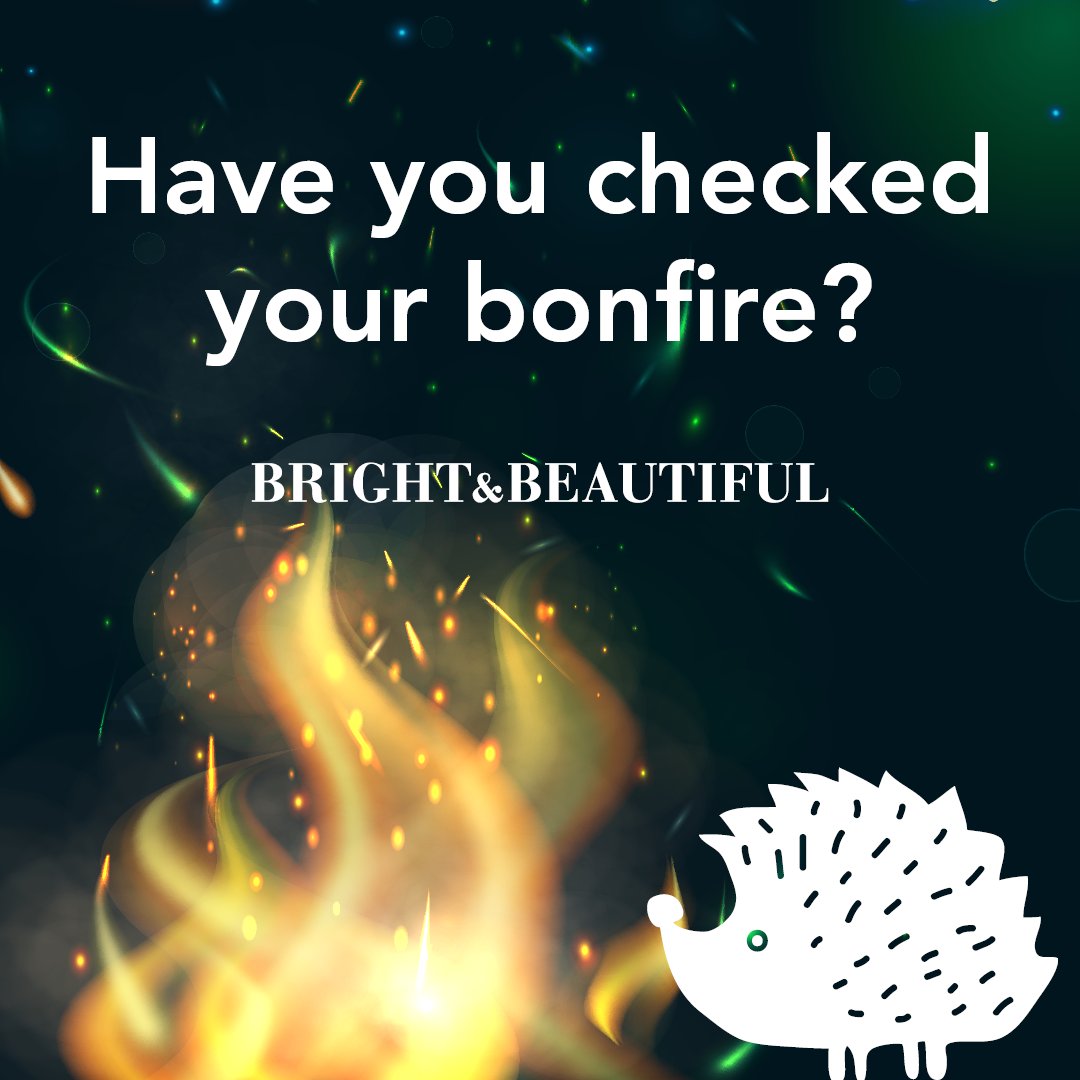 With Bonfire night tomorrow night, please remember if you're having a  a bonfire check it before lighting for any hedgehogs or other wildlife #bonfirenight2021 #hedgehogs #bonfires #wildlife