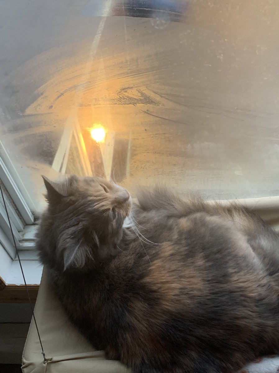 made , Window for .., stalking