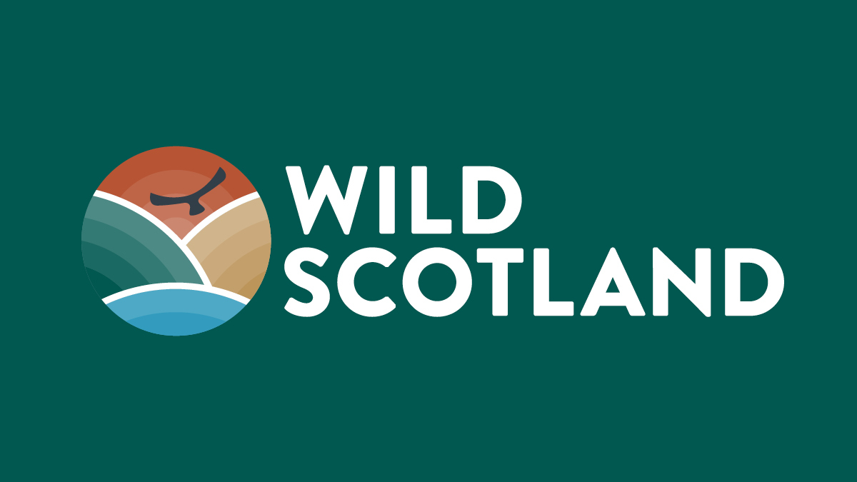 wildscotland's tweet photo. Check out our new website and brand! Nurture your need for freedom and adventure at https://t.co/EOdFXtlfeA, where you can plan and book your next wildlife, adventure and activity holiday. Our members offer first-class, responsible and safe experiences across Scotland. https://t.co/ZffHhwRhff