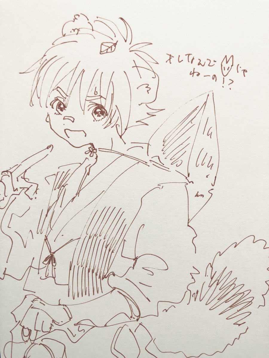 ポンポコ和谷 