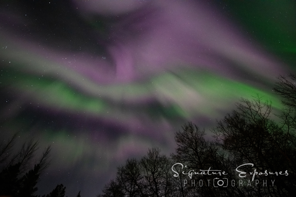 shannbil's tweet photo. The Corona was the star of the #Aurora show this morning over Canada and the US! What an amazing event to witness from my own yard in #Manitoba , Canada! 
Even caught my @Starlink in there! :) https://t.co/UbrYnLsxGi