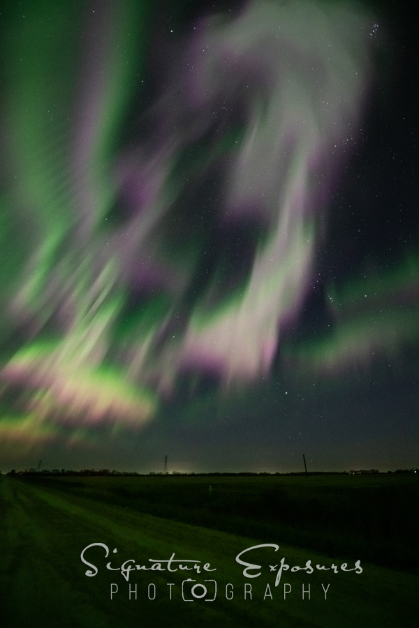 shannbil's tweet photo. The Corona was the star of the #Aurora show this morning over Canada and the US! What an amazing event to witness from my own yard in #Manitoba , Canada! 
Even caught my @Starlink in there! :) https://t.co/UbrYnLsxGi