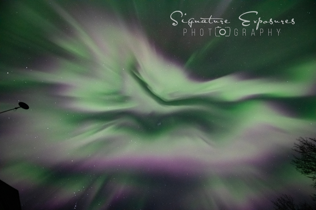shannbil's tweet photo. The Corona was the star of the #Aurora show this morning over Canada and the US! What an amazing event to witness from my own yard in #Manitoba , Canada! 
Even caught my @Starlink in there! :) https://t.co/UbrYnLsxGi