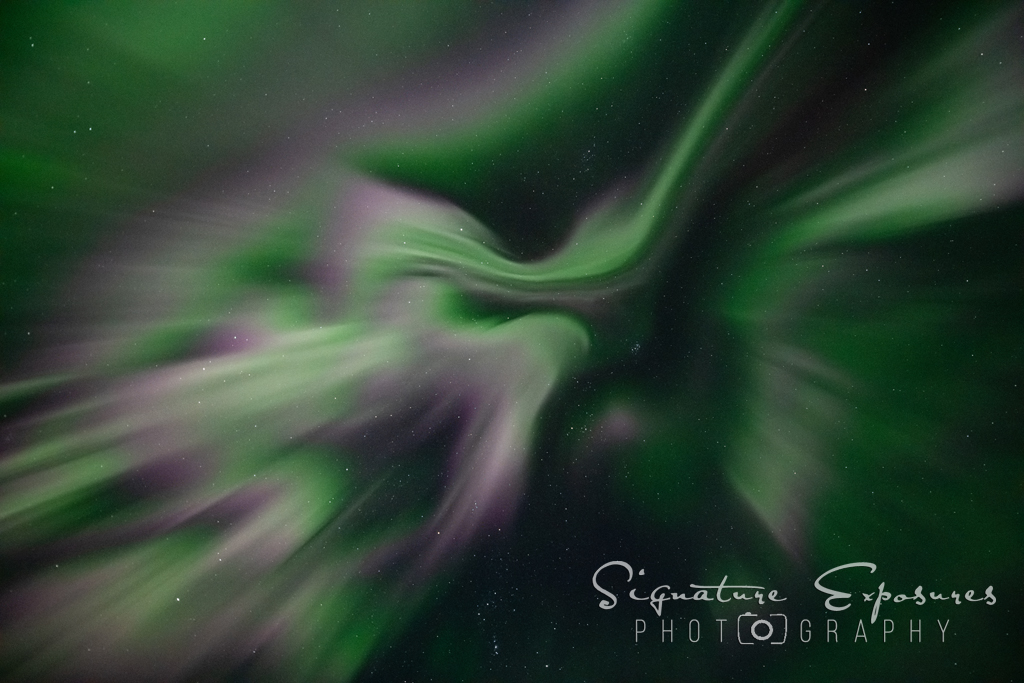shannbil's tweet photo. The Corona was the star of the #Aurora show this morning over Canada and the US! What an amazing event to witness from my own yard in #Manitoba , Canada! 
Even caught my @Starlink in there! :) https://t.co/UbrYnLsxGi