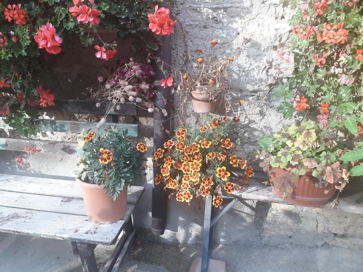 blue_river15's tweet image. #Titignano (Orvieto) #luoghimagici #luoghidelcuore #umbria @explore_umbria #nofilter