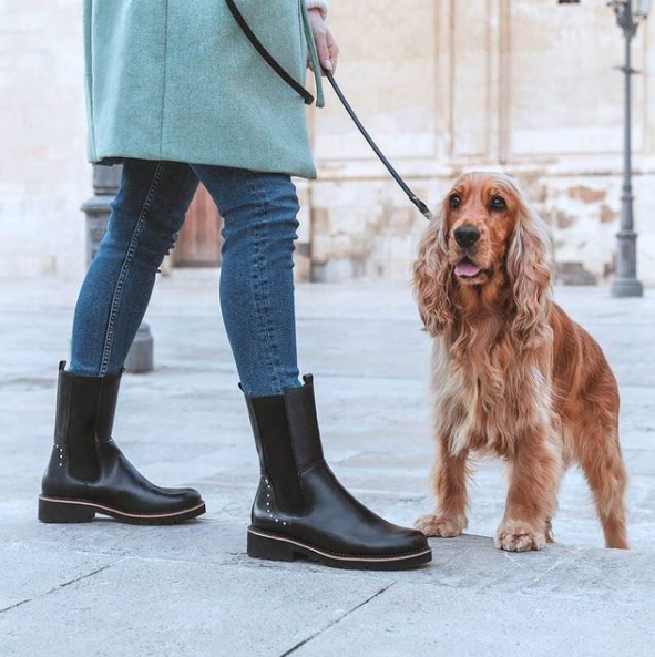 PacoRguezShoes's tweet photo. No hay mejor opción para pasear que nuestro botín 𝙀𝙡𝙖́𝙨𝙩𝙞𝙘𝙤𝙨 𝙑𝙞𝙘𝙖𝙧 y si vas acompañada mucho mejor🐕🦺 . ¡Que paséis buen #jueves! 😊
#botinesnegros #botines #botinesdemujer #looks
#pikolinosshoes #botasmediacaña #trendy #lookinspiration #lookoftheday #urbanstyle https://t.co/Xd6OQUdago