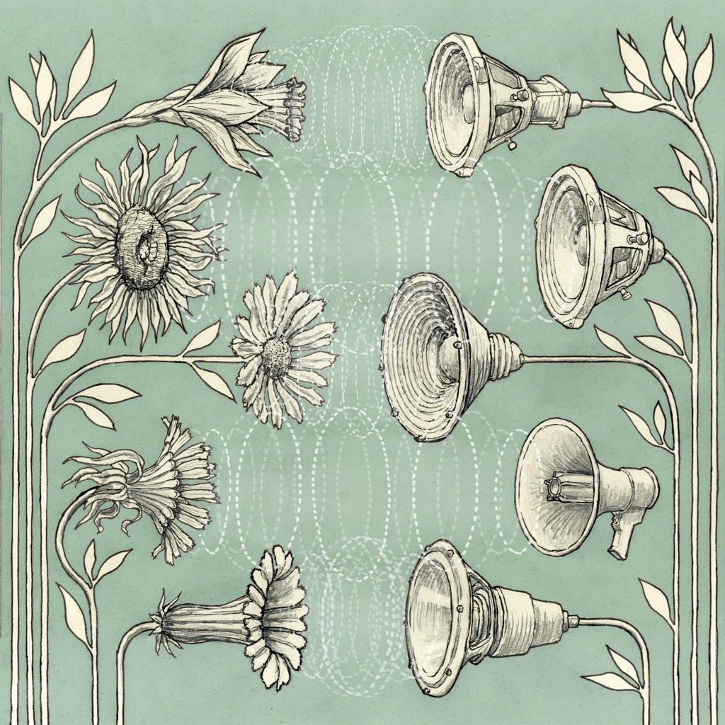 Kocliko Records tweet media