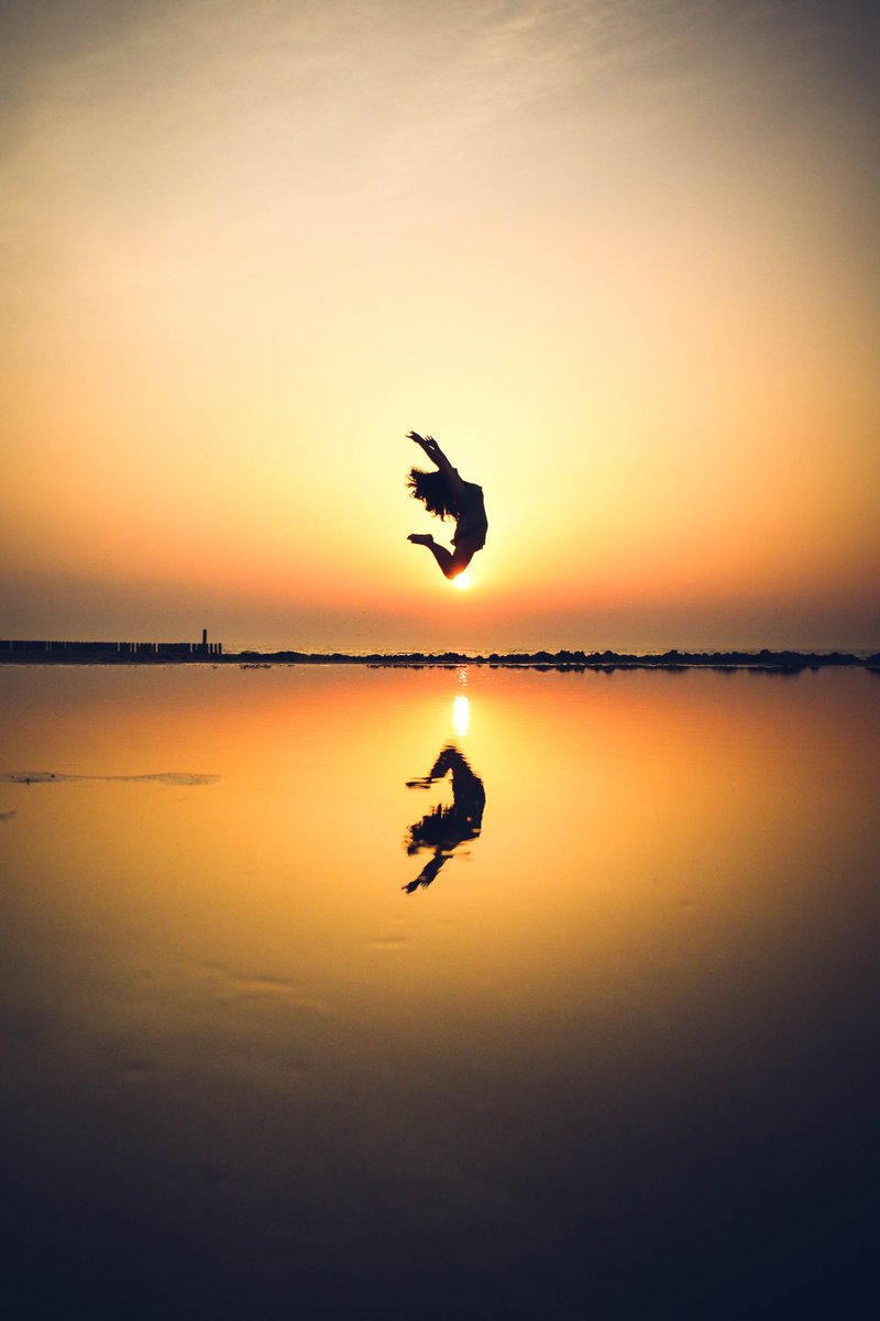 bougainvillea 🐉$MON tweet media