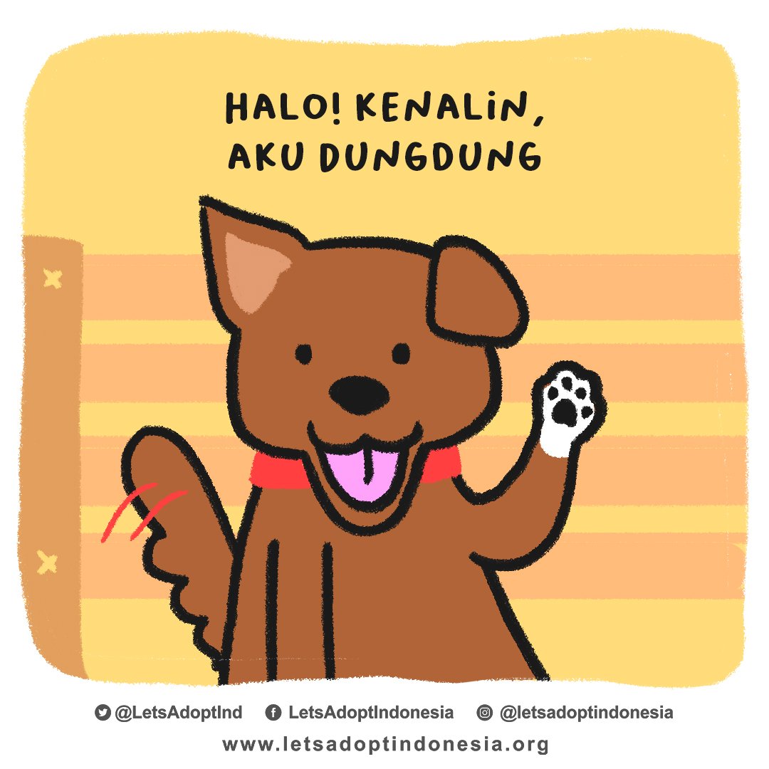 LetsAdoptInd's tweet photo. Dungdung adalah anjing manis yang senang berlari dan bermain bersama pemiliknya. Hingga suatu hari Dungdung mengalami kecelakaan dan akhirnya kehilangan satu kaki belakangnya dan lumpuh bagian belakang. https://t.co/dvyLsV2u41
