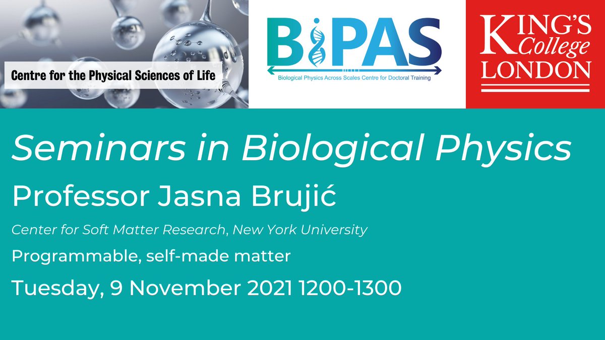 BiPAS_CDT's tweet photo. We are hosting our first #biologicalphysics seminar on Tuesday with  Jasna Brujic @jb29291 of @nyuniversity at 1200 GMT
All are welcome
To join:
https://t.co/pAhsRSsYpF
#biophysics #seminar https://t.co/7XXAsNIexg