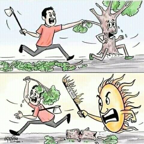 tukwa2's tweet photo. #savetheplanet
#plantMoreTrees
#protectRainForest
#ActNow 
#ClimateEmergency 
@UNEP_Africa 
@UNEP 
@GretaThunberg https://t.co/5f84oShN5e