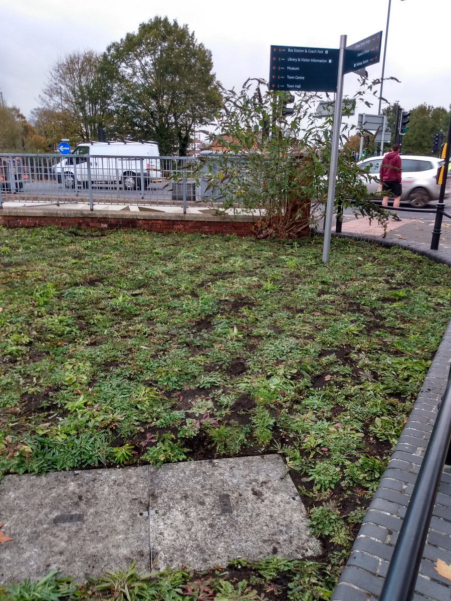 MeadowCreations's tweet photo. For those who regularly cross the winchcombe road roundabout a wildflower space has been installed for the benefit of pollinators and enhance the area #newbury #westberks @wildflowerturf https://t.co/U9yxIZYeLW