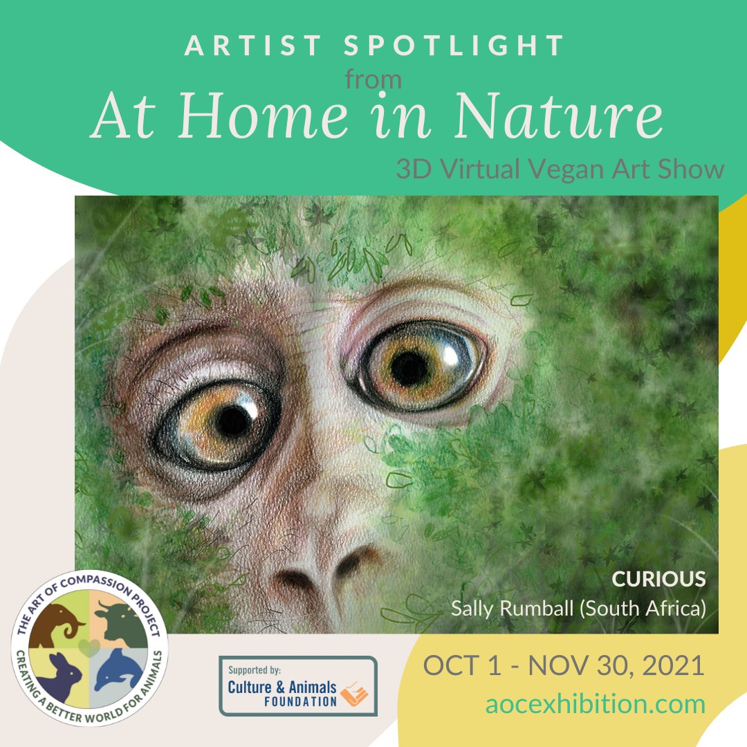 Sally Rumball is one of 15 artists in our current 3D vegan art show. To view her painting and read about her process and intention, go to buff.ly/3hyG05y. #aocexhibition #thegoodelifeuk #artofcompassion #veganart #veganexhibition #animaladvocacyart