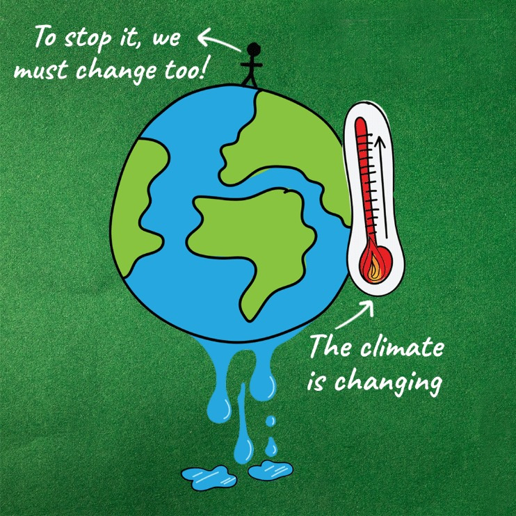 Baja Search tweet media