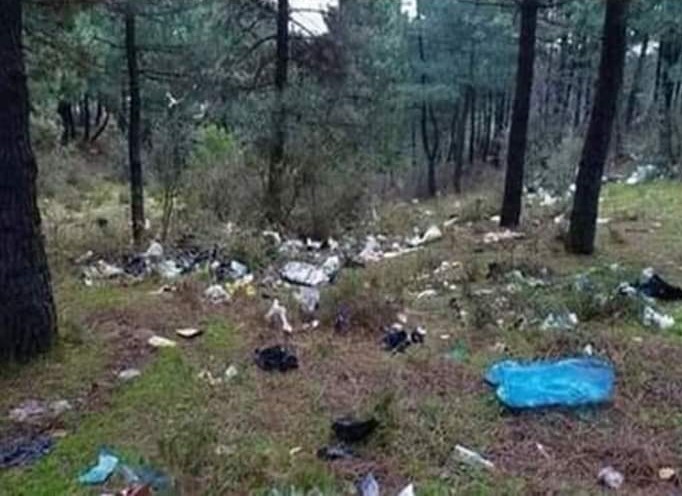 Yüz milyon ayıyı bir araya getirseniz  ormanı bu hale getiremez. yüz milyon kes Nalet olsun!
