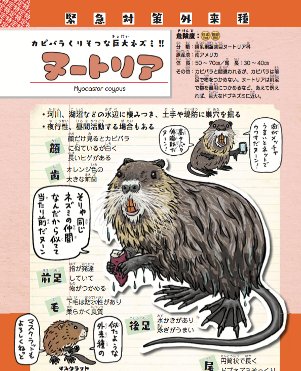 グリル厄介はそろそろ、アライグマとかヌートリアとか哺乳類系に手を出してほしい。 https://t.co/Sezv2MZD8C 
