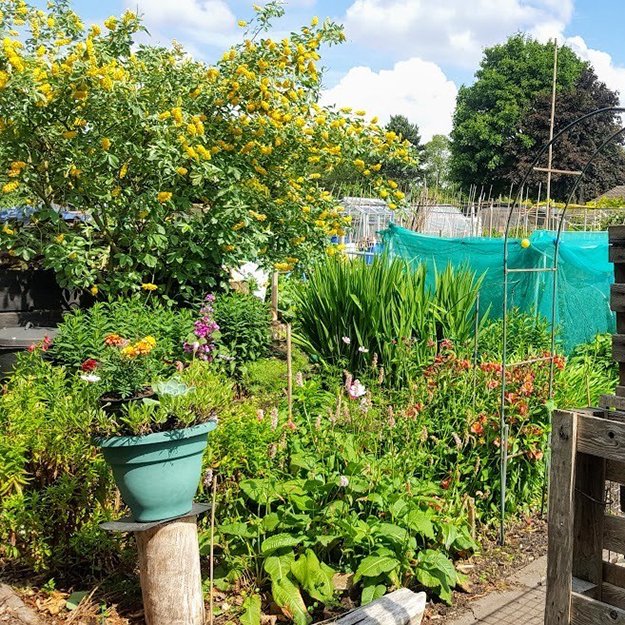 Craftspace tweet media