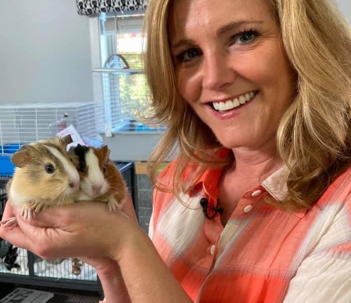 WMUR9's tweet photo. Animals of all kinds are up for adoption at the Friends Of The Manchester Animal Shelter. @NHChronicle is showing you some of the furry friends that could become family tonight. #nhChronicle @sean_wmur via @ErinWMUR https://t.co/srpTYSwc7k