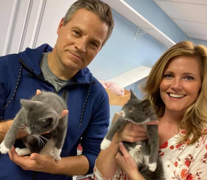 WMUR9's tweet photo. Animals of all kinds are up for adoption at the Friends Of The Manchester Animal Shelter. @NHChronicle is showing you some of the furry friends that could become family tonight. #nhChronicle @sean_wmur via @ErinWMUR https://t.co/srpTYSwc7k