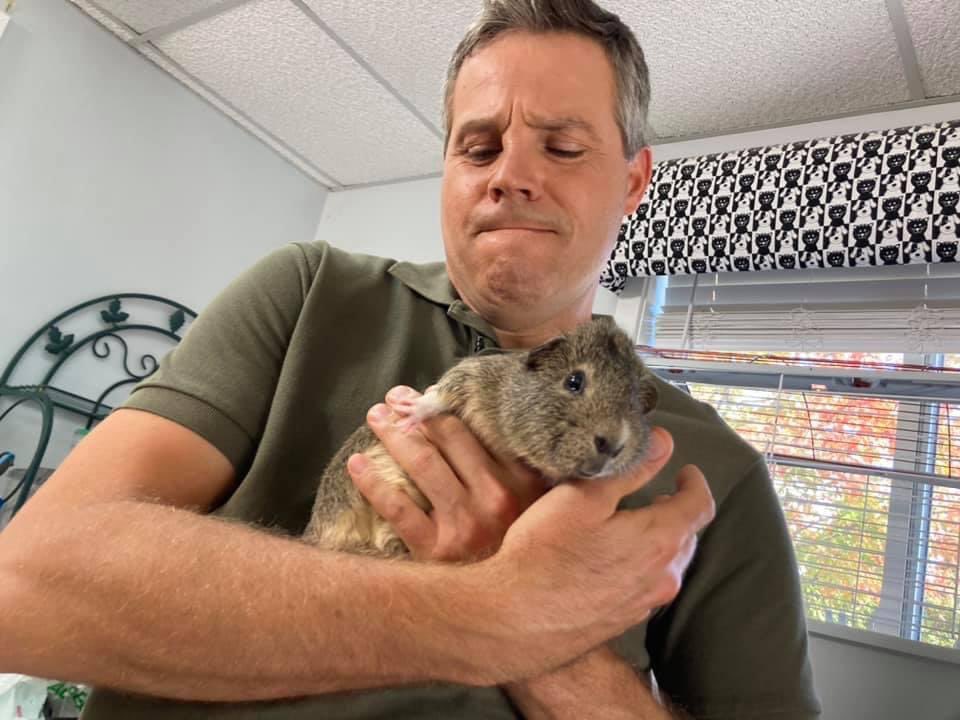 WMUR9's tweet photo. Animals of all kinds are up for adoption at the Friends Of The Manchester Animal Shelter. @NHChronicle is showing you some of the furry friends that could become family tonight. #nhChronicle @sean_wmur via @ErinWMUR https://t.co/srpTYSwc7k