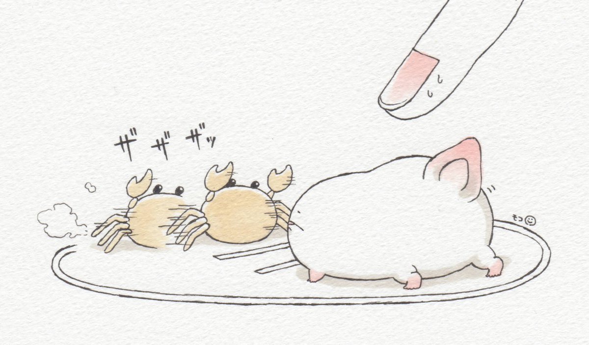 オオサンショウウオ、背中で語る? #いいおしりの日 記念日にちなんでまとめてみました! 
