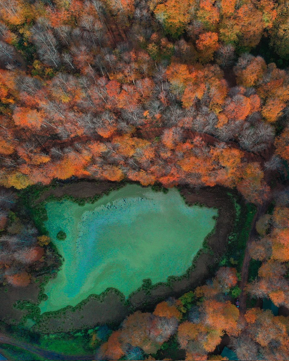 KanoOrdu's tweet photo. Zümrüt Yeşili, Çepekli Göl...
Fotoğraf: @niyazi_gurgen
#ordukano #orkado #ulugöl #gölköy #ordu #drone #nature #doga #turkey https://t.co/E9FWHpLaVZ