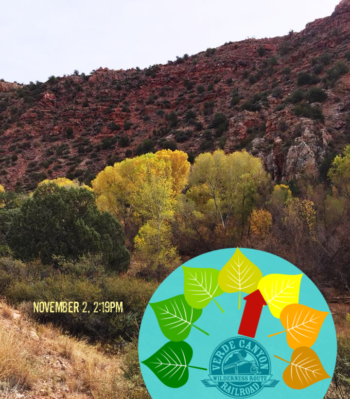 VerdeCanyonRail's tweet photo. #CanyonColormeter: As we slowly roll towards the peak fall colors , the Verde Canyon erupts in brilliant golds & bronzes. High desert riparian areas such as this are rare, comprising only 2% of Arizona. #AutumnInAZ #FallColors #LeafPeeping https://t.co/OZlcxDmlTv https://t.co/rPLdGspGZB