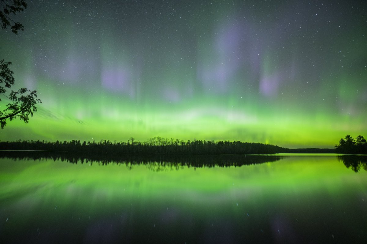 alexfalconrt's tweet photo. I’ve never seen purples like this  in an aurora before!! Best #aurora show of my life!

@TamithaSkov @NorthLightAlert @AuroraNotify @NWSSWPC @spacewxwatch #boundarywaters #savethebwca #NorthernLights #AuroraBorealis @NWSduluth @StribDuluth @StarTribune https://t.co/pBY5a28zjQ