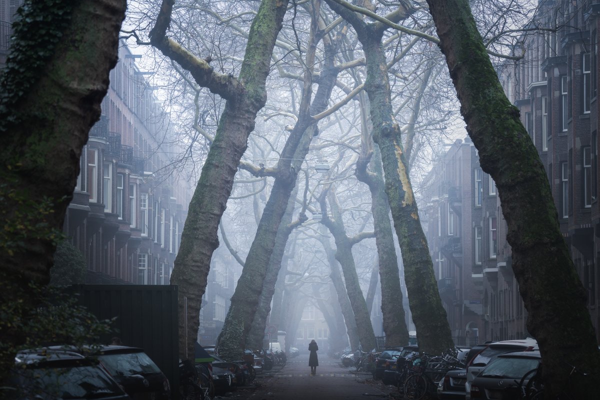 albertdrosphoto's tweet photo. GM from Amsterdam https://t.co/HDKW5dk0VL