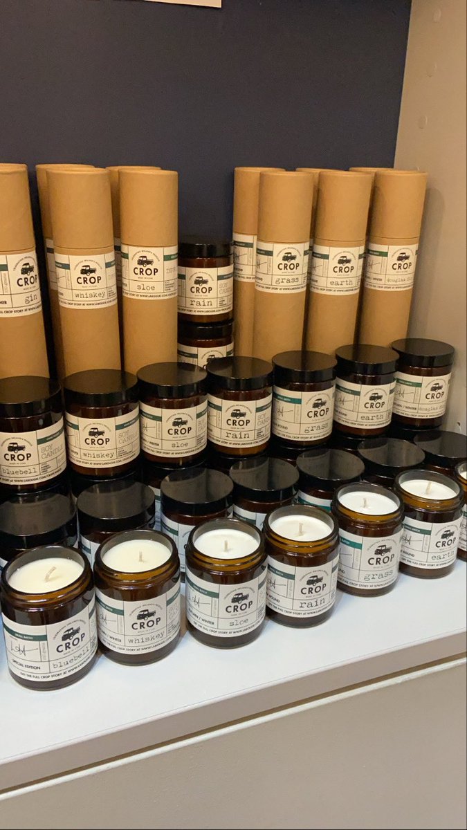 Emma Costello tweet media