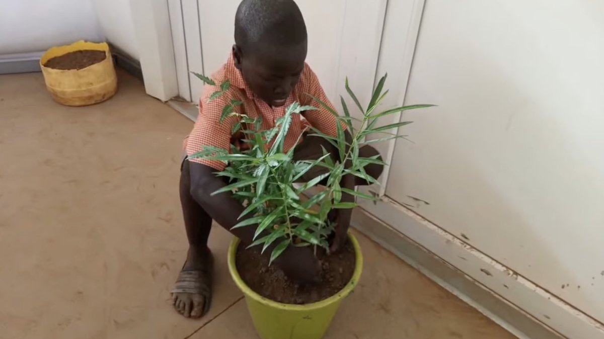 nineviaene's tweet photo. Also the kids of #projectKakuma in Kakuma Refugee Camp have participated the Climate Action Project and are now watching Climate Action Day! 👋

Hurry to the livestream and join them!
👉👉 https://t.co/Gx6AQxWZBd

Also learn more about Project Kakuma
👉👉 https://t.co/BUXqGc6Uwa https://t.co/orzuZ2zw7Q