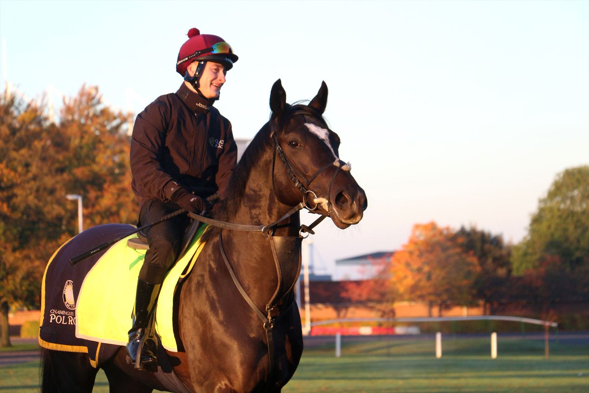 Middleham Park Racing tweet media