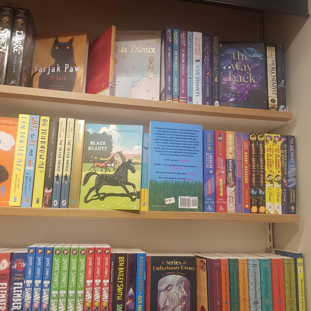 Michele Sheldon tweet media