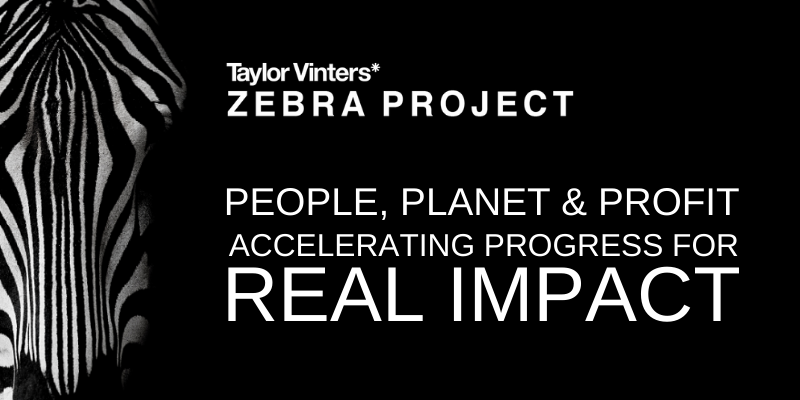 The Zebra Project tweet media