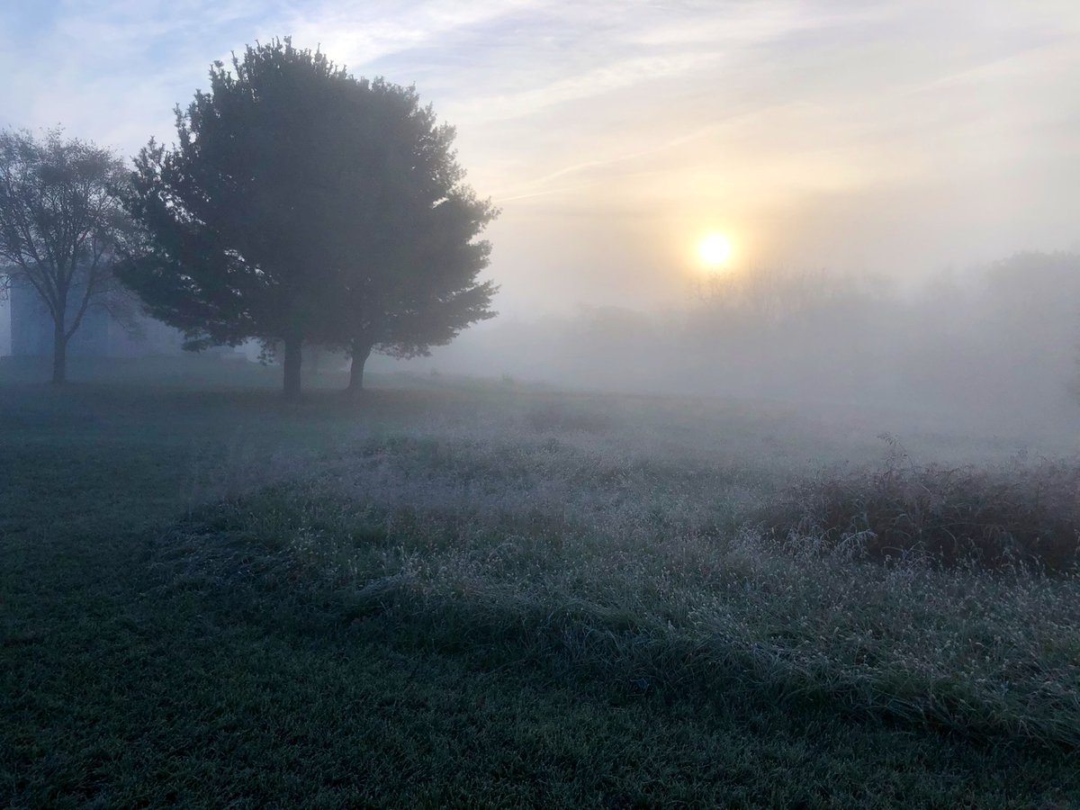 DaveFox5DC's tweet photo. A frosty sunrise morning at Murphy farm near Harpers Ferry West Virginia https://t.co/pTgmLg0HyE
