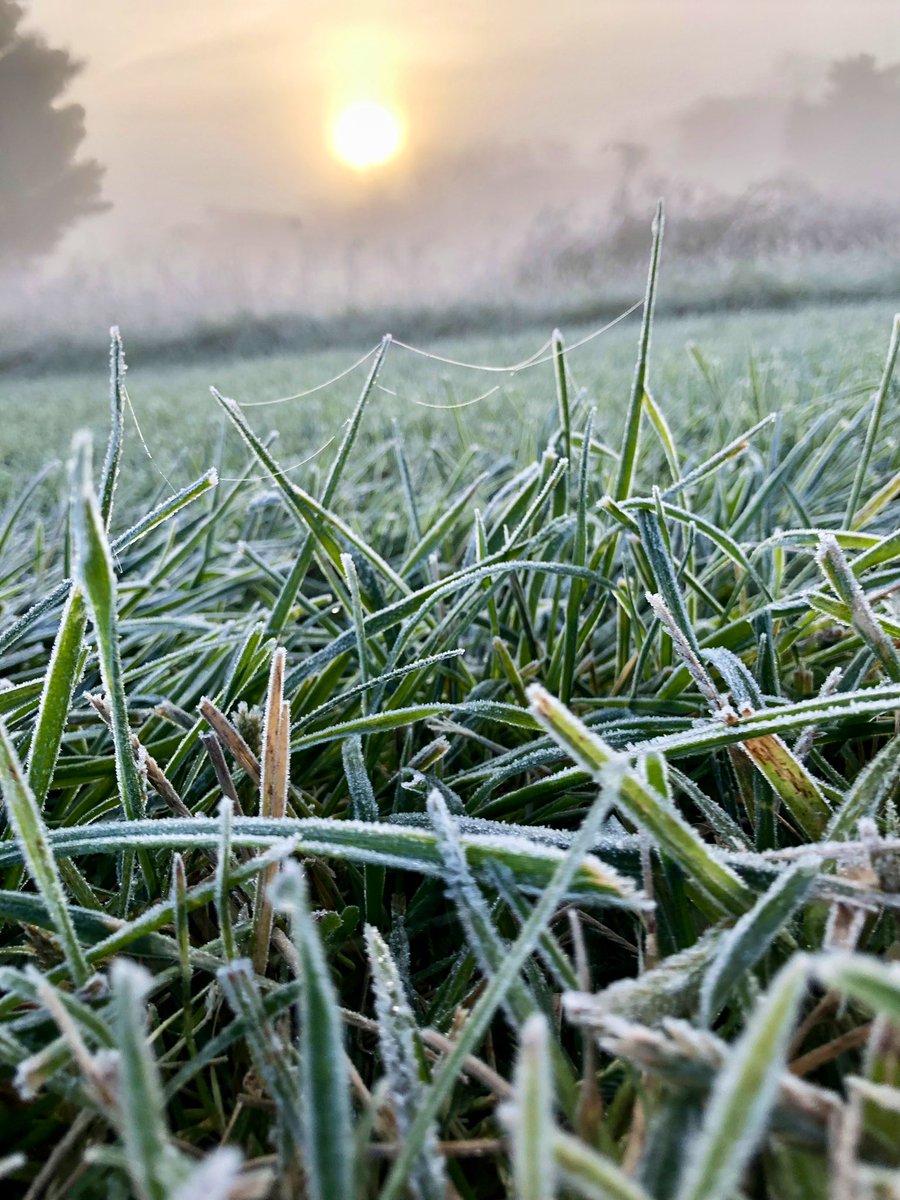 DaveFox5DC's tweet photo. A frosty sunrise morning at Murphy farm near Harpers Ferry West Virginia https://t.co/pTgmLg0HyE