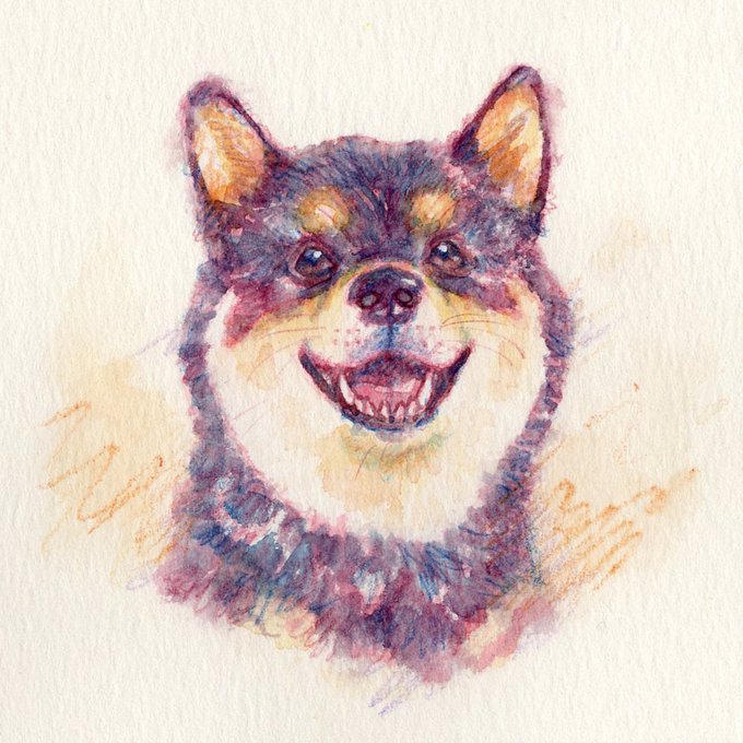 黒柴のtwitterイラスト検索結果