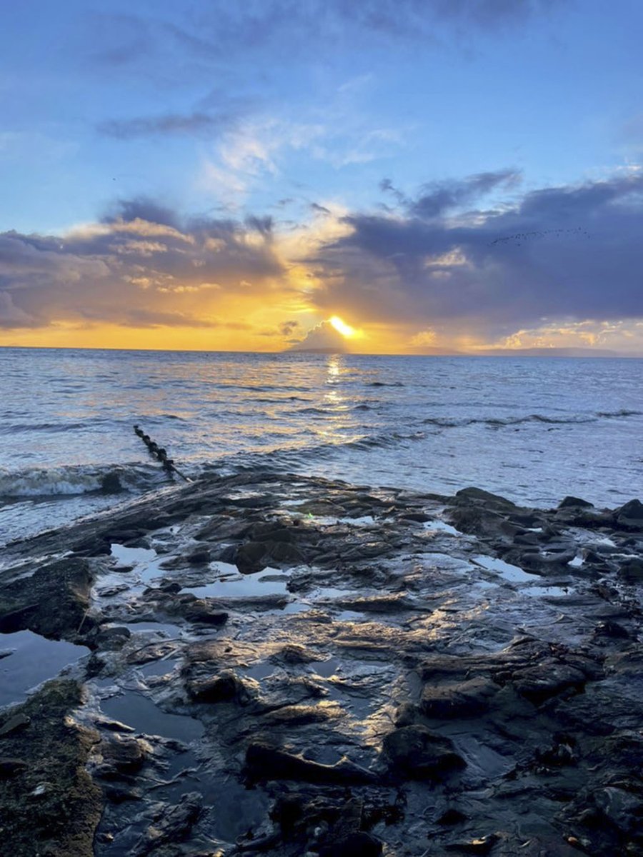Scottish Field (@scottishfield) on Twitter photo We take a trip to the seaside at The Gailes Hotel & Spa
<a href="/GailesHotel/">The Gailes Hotel & Spa</a> #Scotland #Scottish #Ayrshire #travel #hotels #spa #dining
scottishfield.co.uk/travel/scotlan… We take a trip to the seaside at The Gailes Hotel & Spa
<a href="/GailesHotel/">The Gailes Hotel & Spa</a> #Scotland #Scottish #Ayrshire #travel #hotels #spa #dining
scottishfield.co.uk/travel/scotlan…