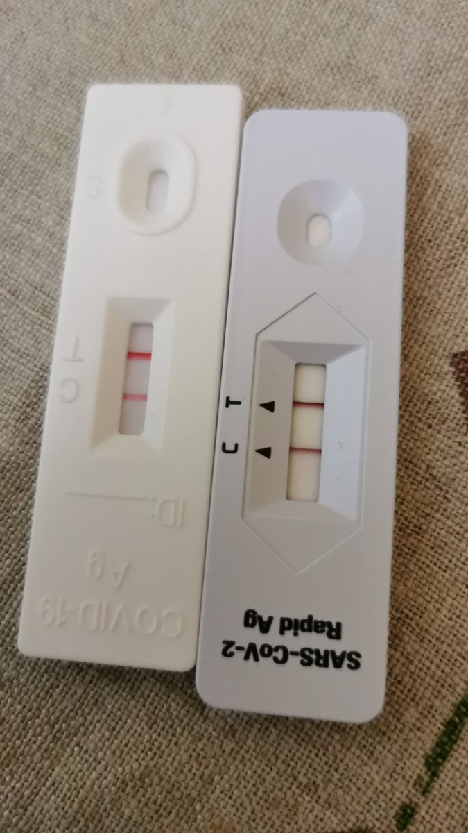 maeusebiss's tweet photo. @NeoLinchen Bin dann auch dabei... Trotz Impfung. Was 2 Wochen Quarantäne für meine Klasse bedeutet, kann man wohl schonmal erahnen.. 🤡 https://t.co/0fQ1TlRqX6